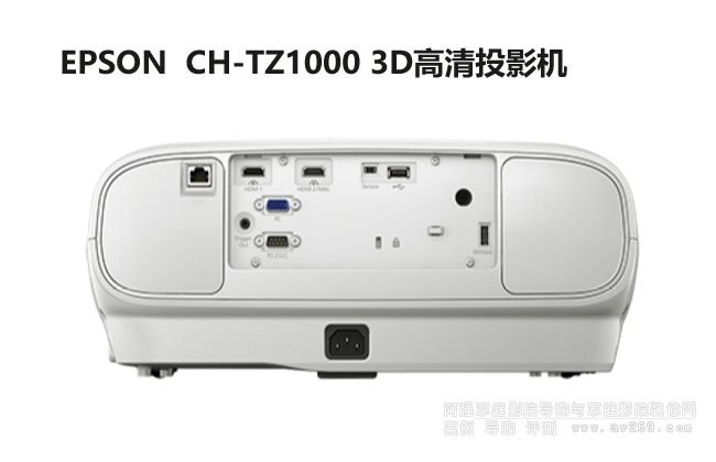 愛(ài)普生TZ1000