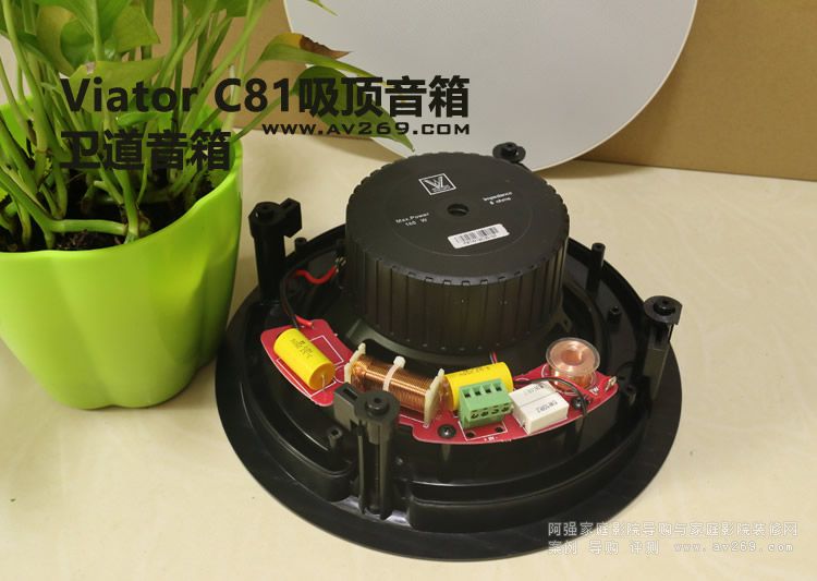 Viator IC81