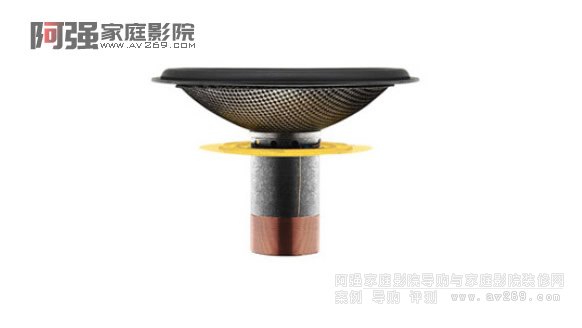 Aerofoil cone翼型低音音盆