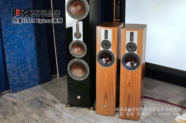 DALI Rubicon系列
