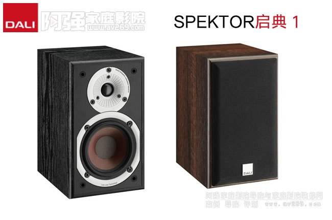 _(d)SPEKTOR1(sh)