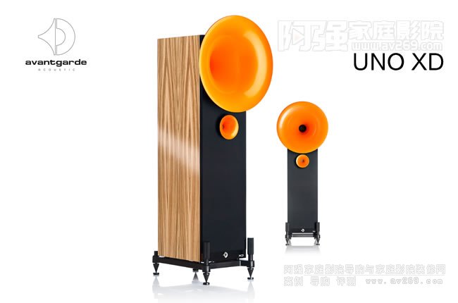 ȻAVantgarde UNO XD̖(ho)1000W(dng)DSP