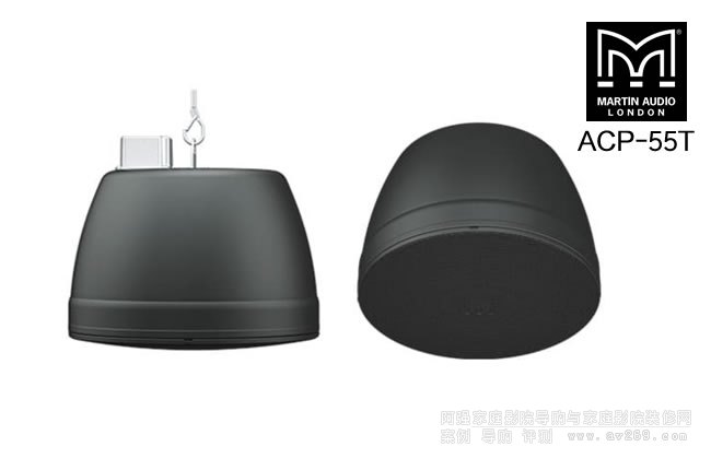 Ӣ(gu)ACP-55TMARTIN AUDIO 5.25ҵP(yng)