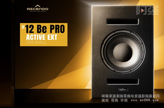 ˹DAscendo(dng)O(jin) THE12 Be PRO ACTIVE EXT ON WALL