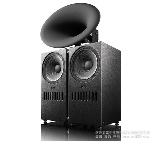 ˹DŞ̖THE BLACK SWAN ACTIVE EXT RC